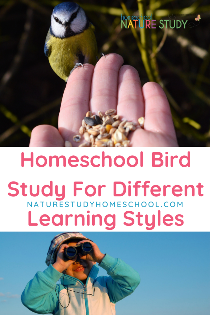 This homeschool bird study for different learning styles is a great example of how nature study can benefit any child. Printable included.