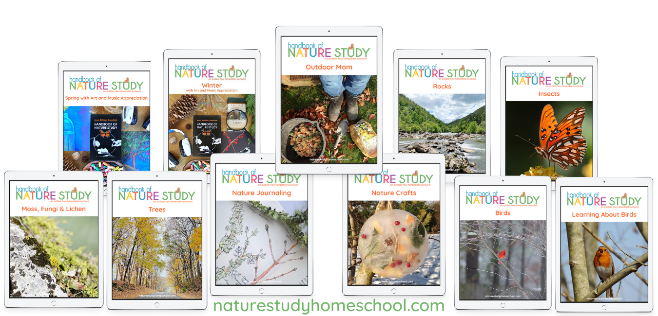 Preschool Nature Journal – Oaks and Arrows