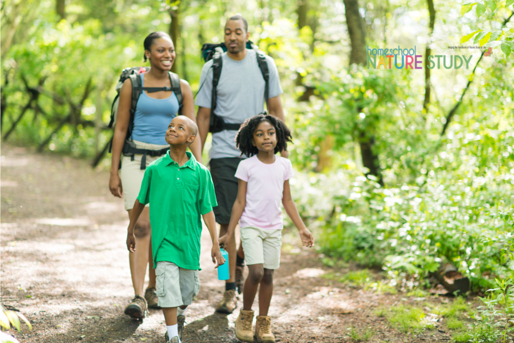 Family day hikes ideas for homeschool nature study