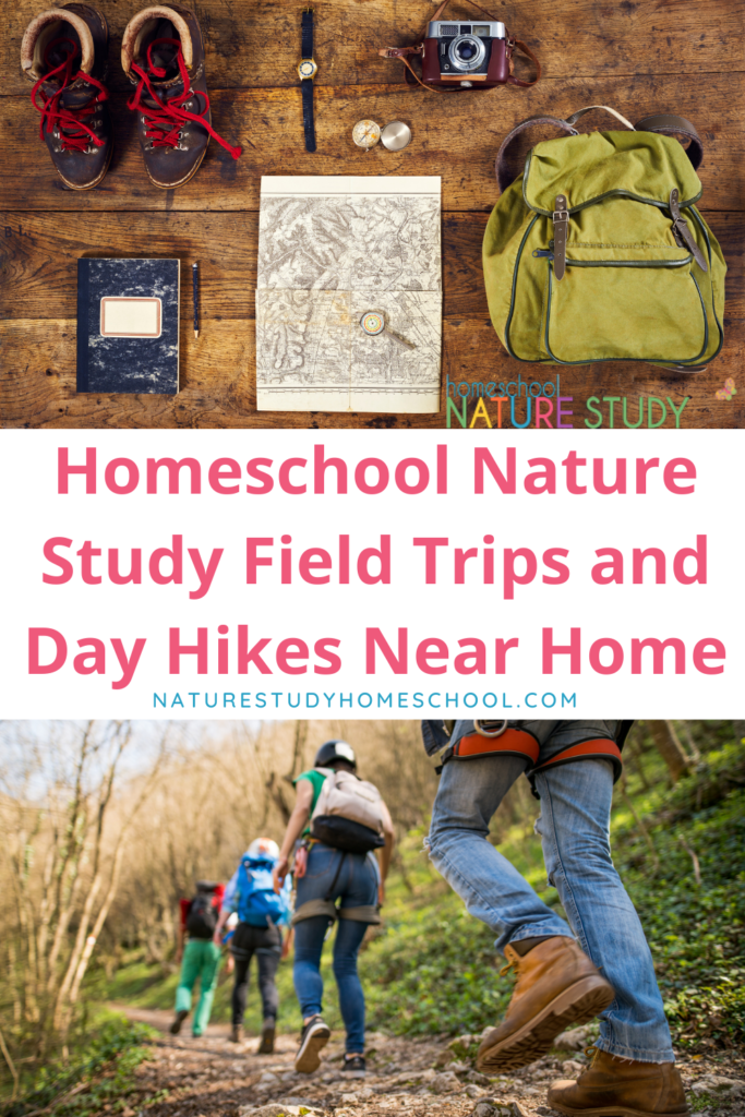 Here are some simple tips for homeschool nature study field trips and how to find day hikes near home. Make memories with your family!