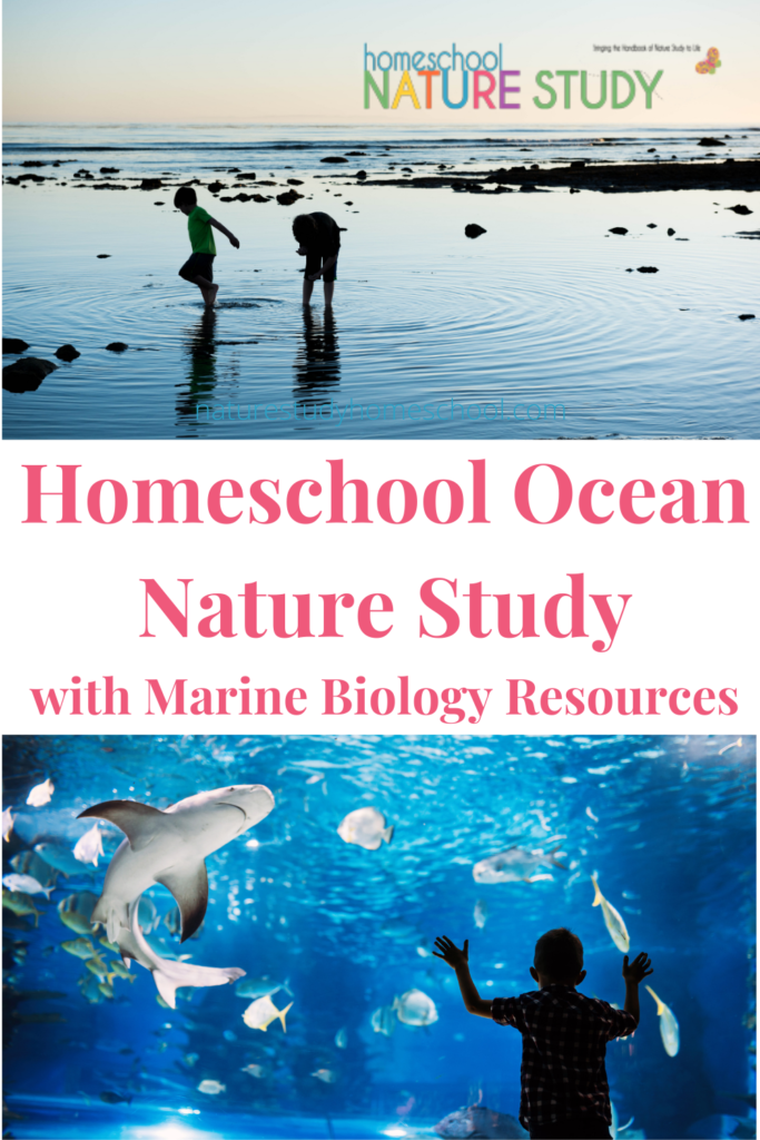 A homeschool ocean nature study is a fun and exciting family activity. With resources for a marine biology, exploring tidal pools and more!