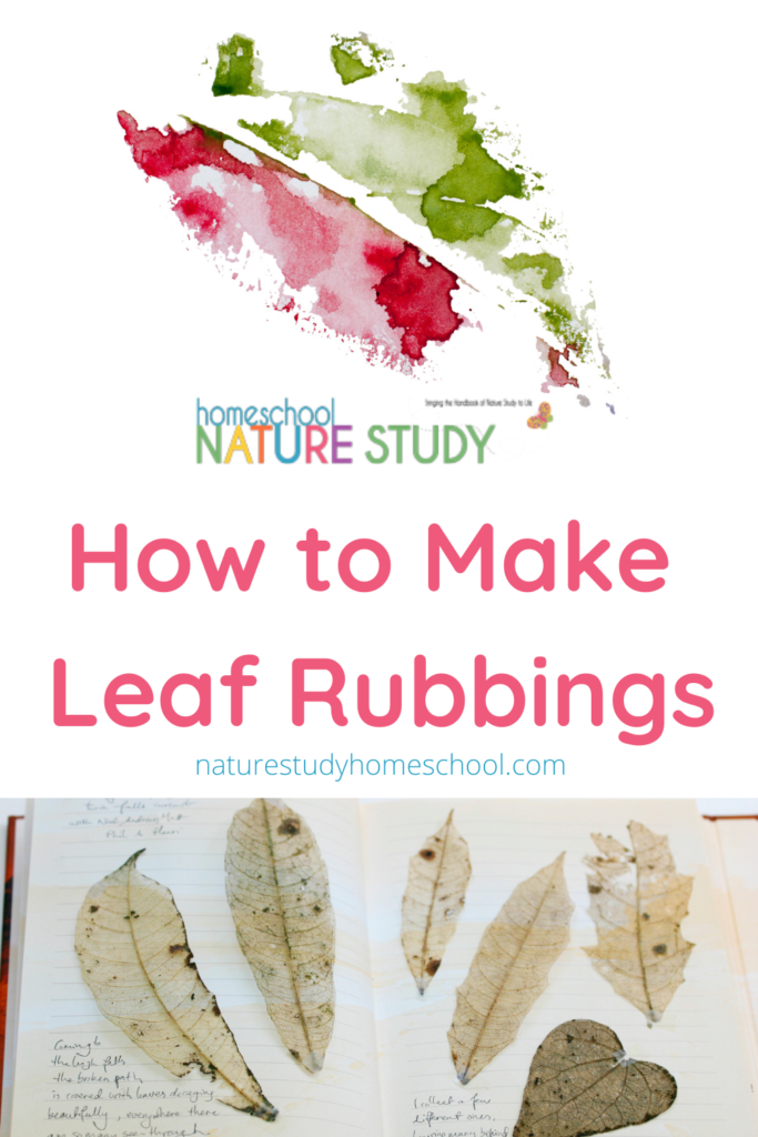 Taking the time to draw leaves helps you observe the details. For young children, a wonderful starting place for a homeschool leaf nature study is to make leaf rubbings.