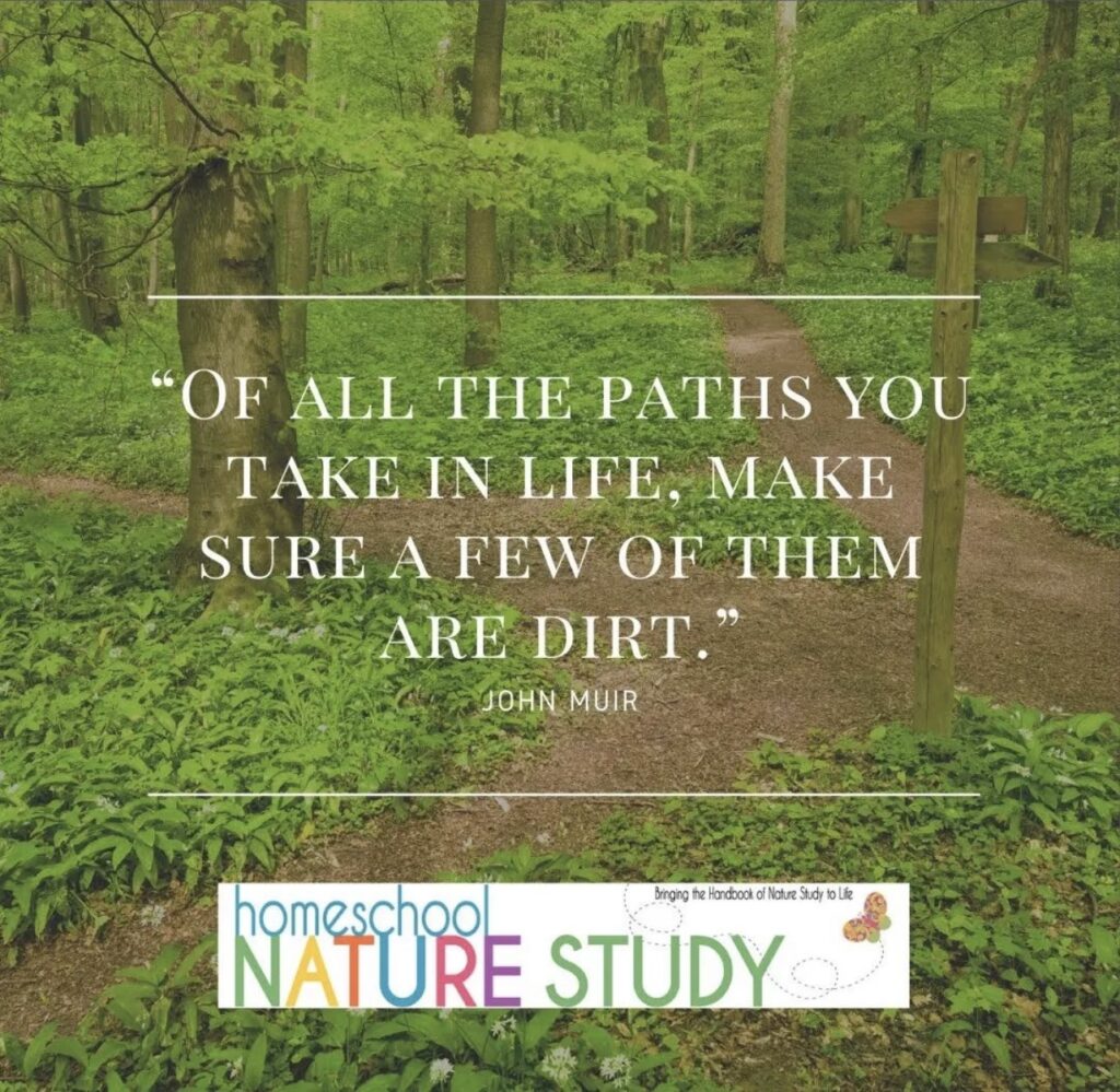 John Muir quote