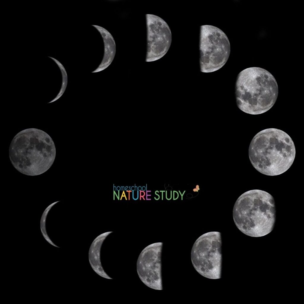 Moon phases homeschool nature study