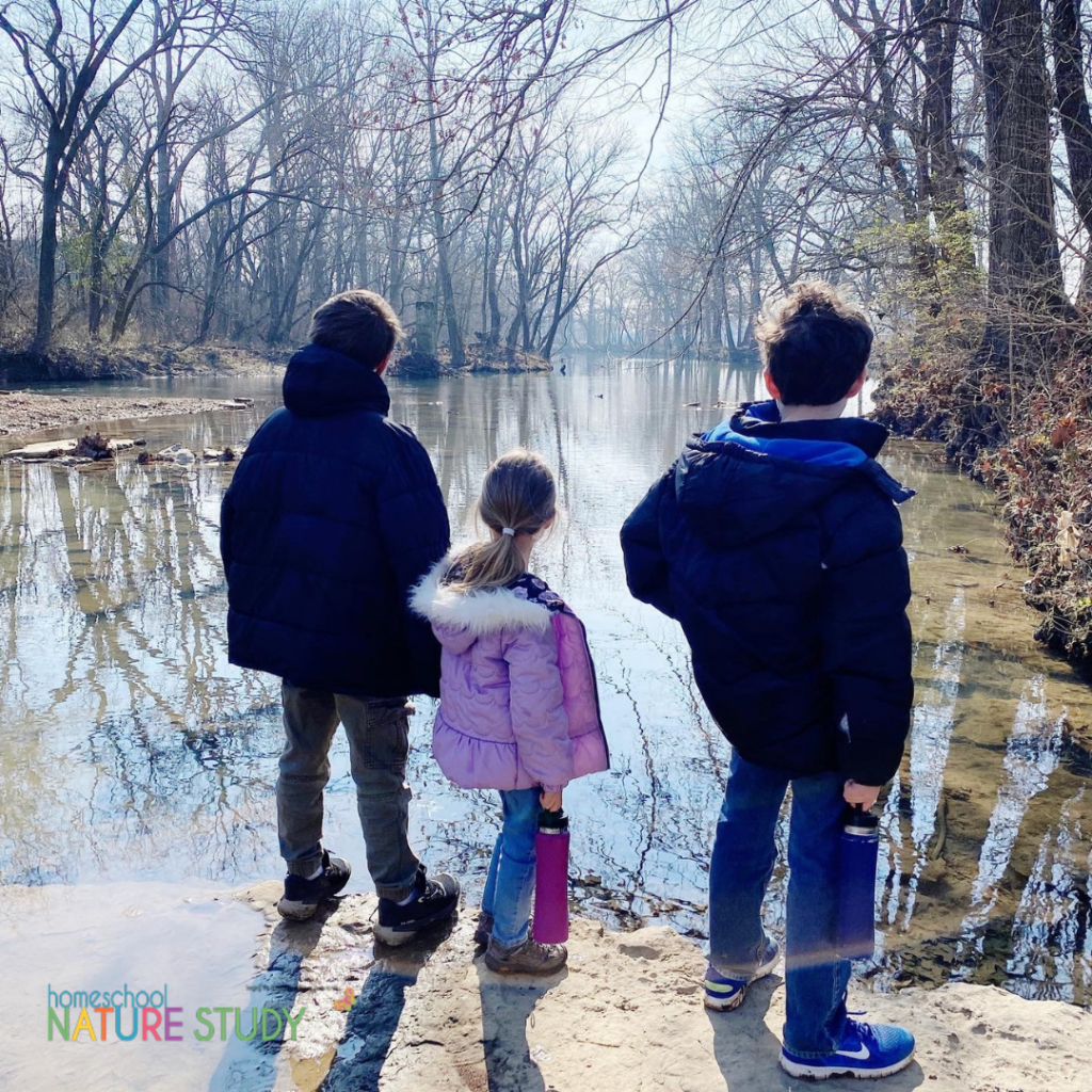 Consider nature walks and nature study an adventure! Keep your eyes wide open for opportunities to discover new things that come into your everyday life.