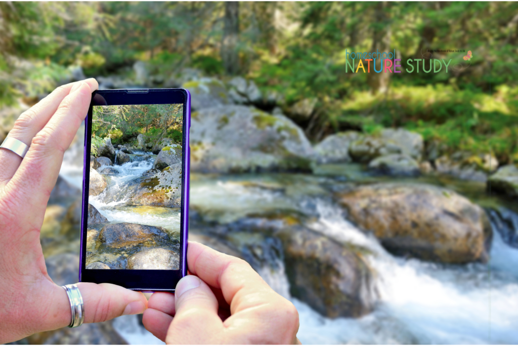 homeschool nature study on rocks