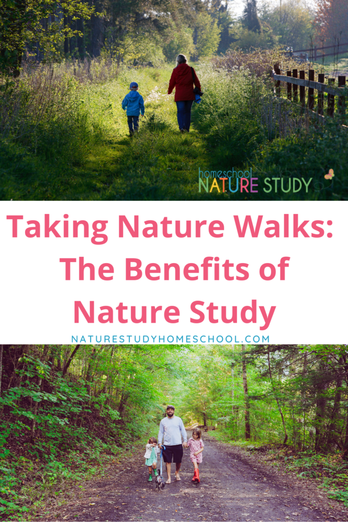 Consider nature walks and nature study an adventure! Keep your eyes wide open for opportunities to discover new things that come into your everyday life.