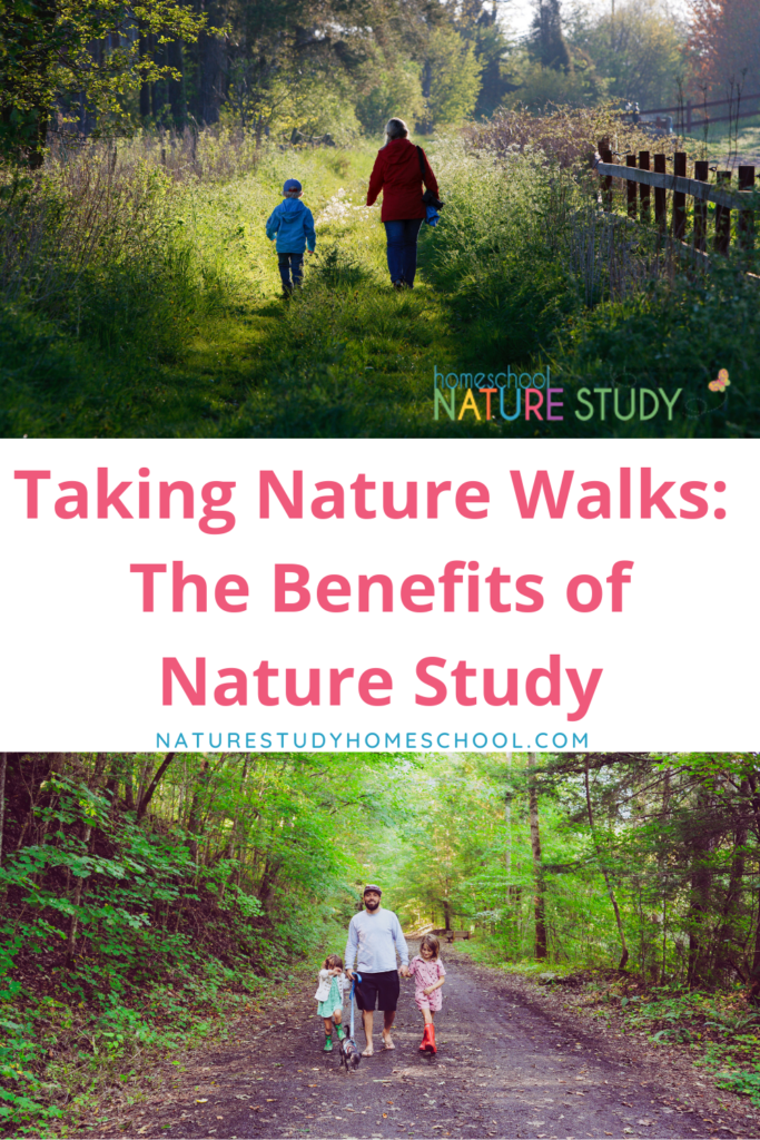 Benefits of Nature Walks - Contentment Questing