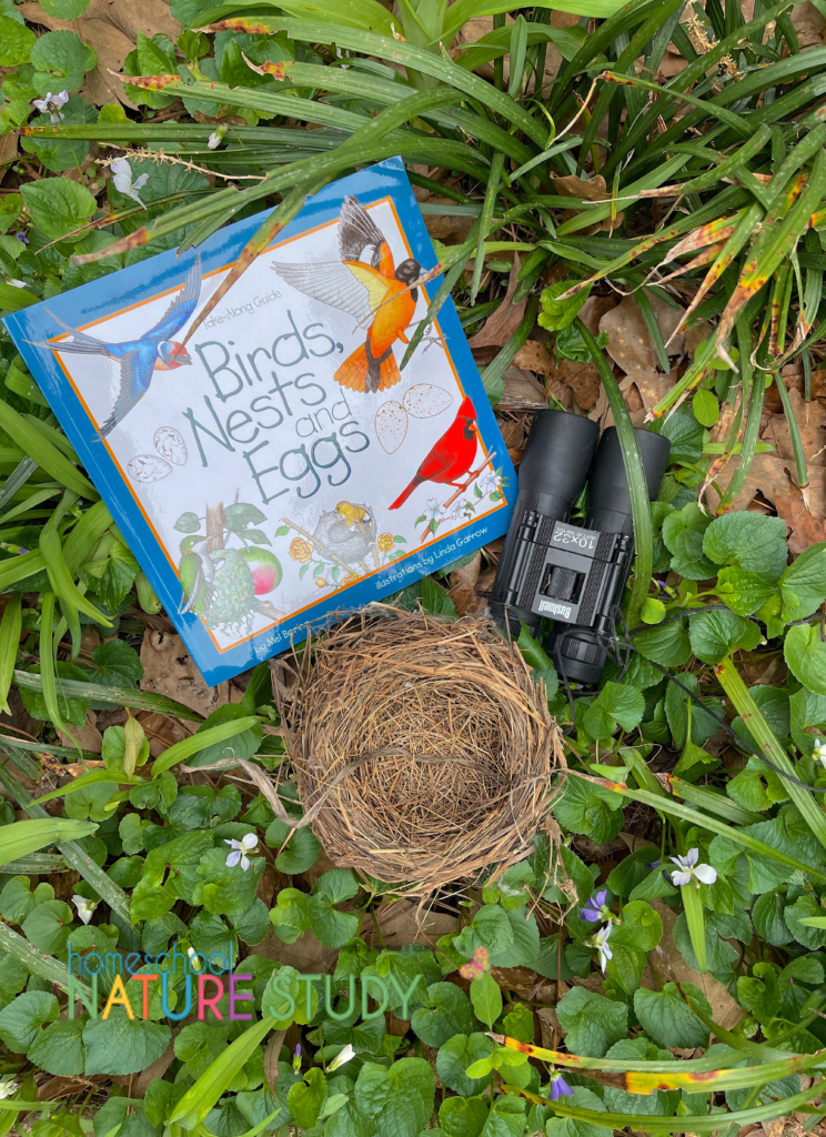 The book Birds, Nests, and Eggs is the perfect beginner’s book for many of the common birds that we see in our yards and neighborhoods. 