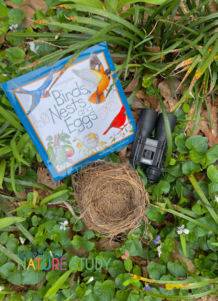 Enjoy these fun activities for learning about bird nests and eggs. Includes ideas for getting outside, bird resources and suggestions for follow up.