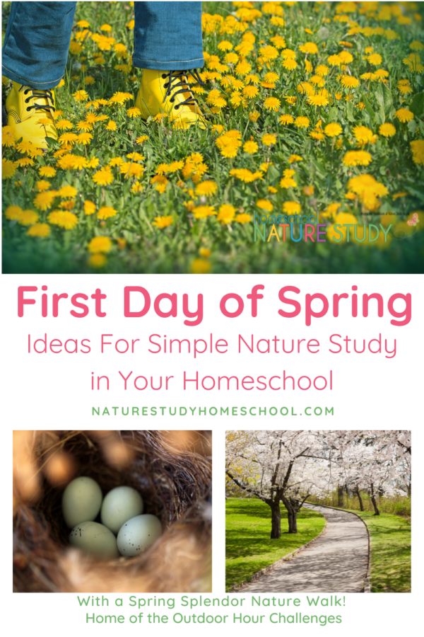 First Day of Spring: Simple Ways to Study Nature in Your Homeschool ...