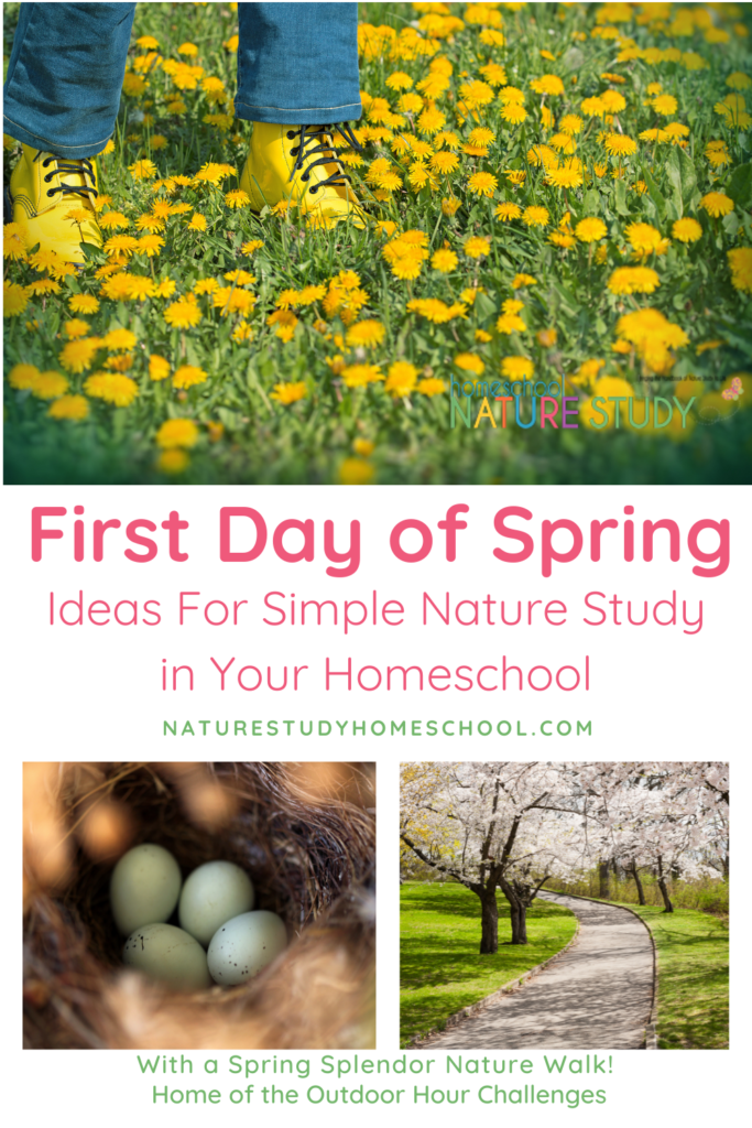 We are excited to get started on this first day of spring with simple ways to study nature and a fresh set of homeschool nature study ideas. 