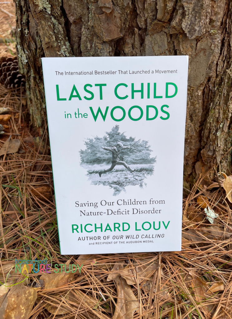 Last Child in the Woods review