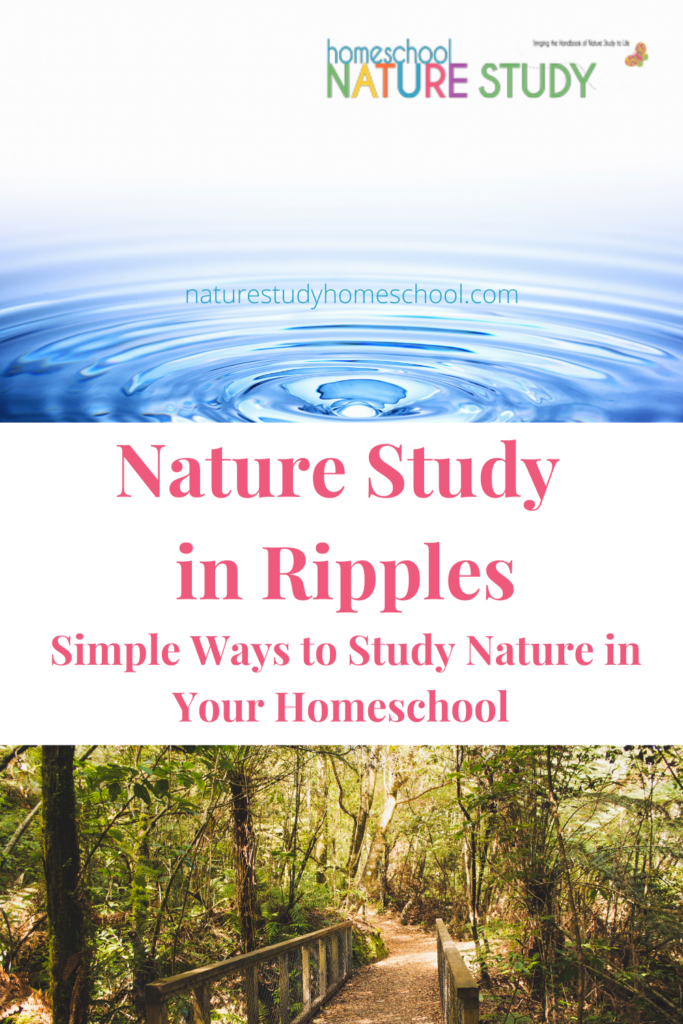 Find some simple ways to study nature in your homeschool. Start in your own yard then let your discoveries grow out like ripples in a pond. 