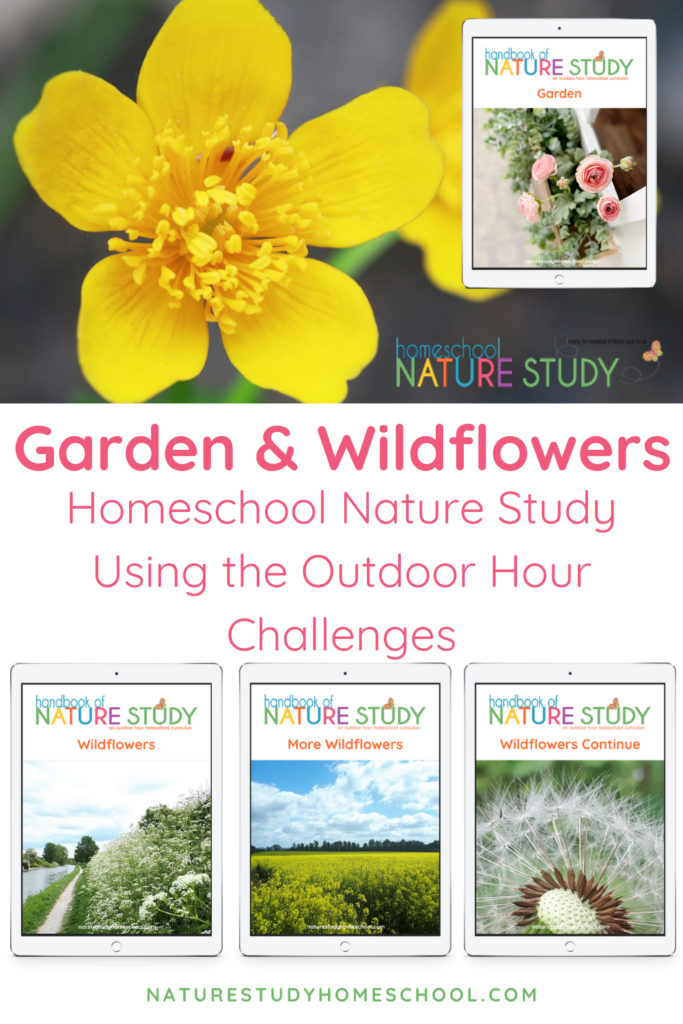 The Ultimate List of Garden and Wildflowers Homeschool Nature Study Using the Outdoor Hour Challenges