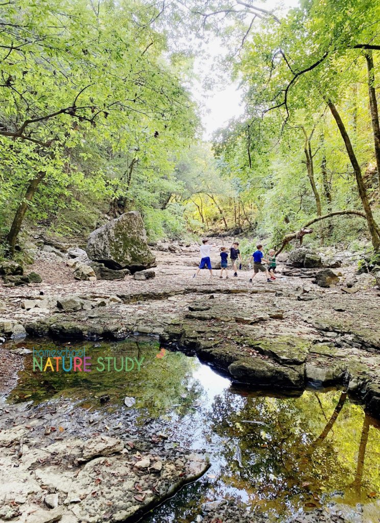 99 homeschool nature study ideas to get your family outdoors