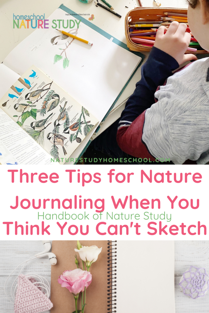 3 Tips for Nature Journaling When You Think You Can’t Sketch - Taking it one page at a time, you will build a treasured spot for your nature study and outdoor memories.
