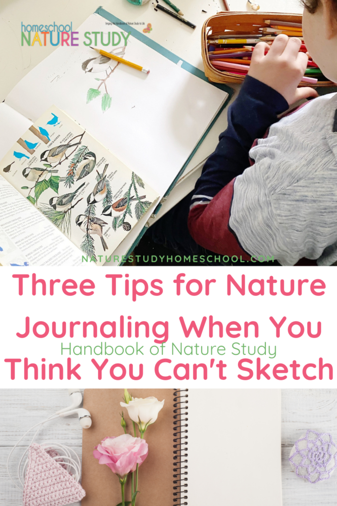 3 Tips for Nature Journaling When You Think You Can't Sketch - Homeschool  Nature Study