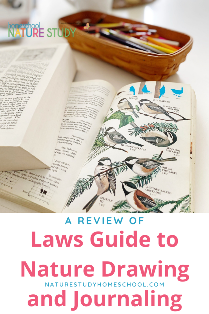 The Laws Guide to Nature Drawing and Journaling is definitely the most thorough and potentially helpful of any book I’ve ever found for our homeschool.