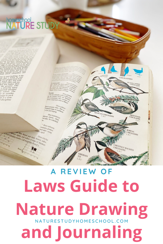 My FAVOURITE BOOK on DRAWING ever! The Laws Guide to Nature