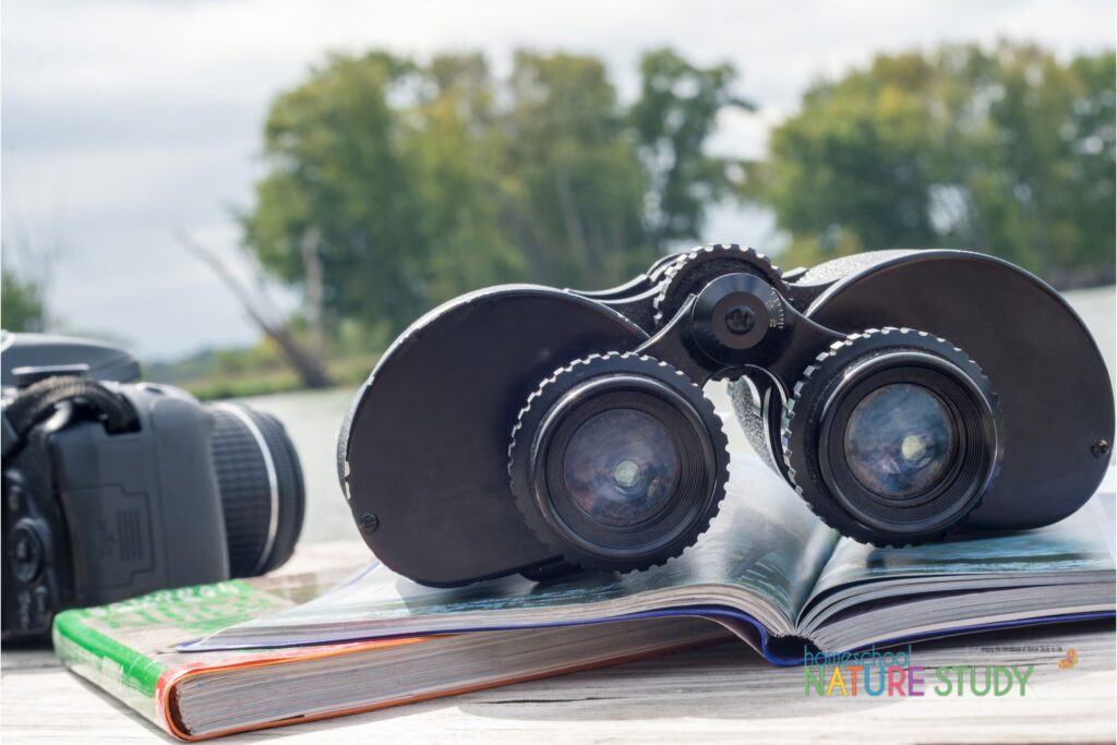 Unsure of what a nature table is exactly? Here is simple definition with some ideas and tips. These will help you begin the habit of gathering things for your homeschool nature table during your Outdoor Hour Challenge time.