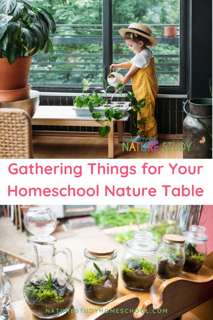 Unsure of what a nature table is exactly? Here is simple definition with some ideas and tips. These will help you begin the habit of gathering things for your homeschool nature table during your Outdoor Hour Challenge time.