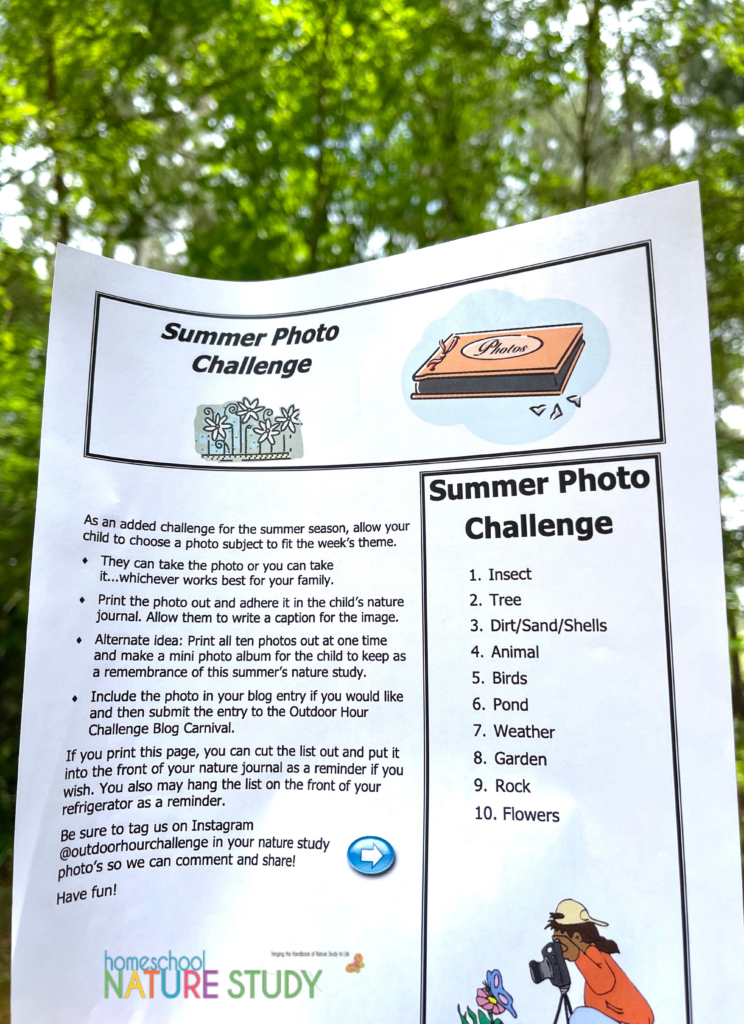 Join us for a FUN summer nature study photo challenge! You can complete the challenges in any order you would like. You can take the photos or your children can take the photos. This is a fun, relaxed activity that I hope brings some joy to your outdoor time.