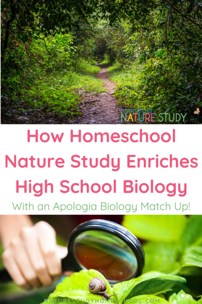 Homeschool nature study definitely enriches high school biology! Here is a break down of nature study suggestions and accompanying resources for each module. 