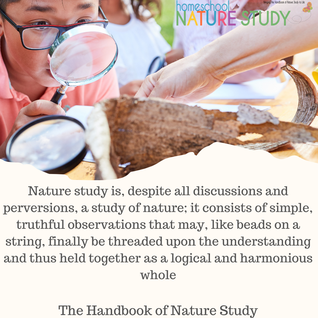 Anna Botsford Comstock Quotes For Nature Lovers Homeschool Nature Study