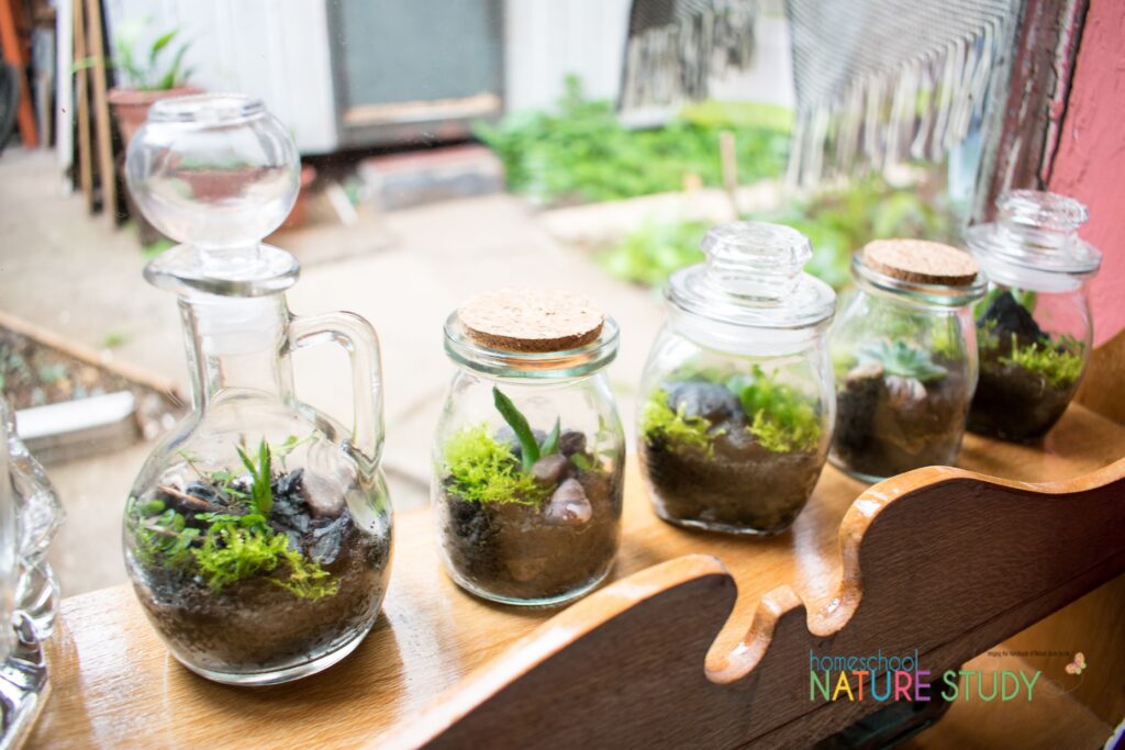 items for your nature table