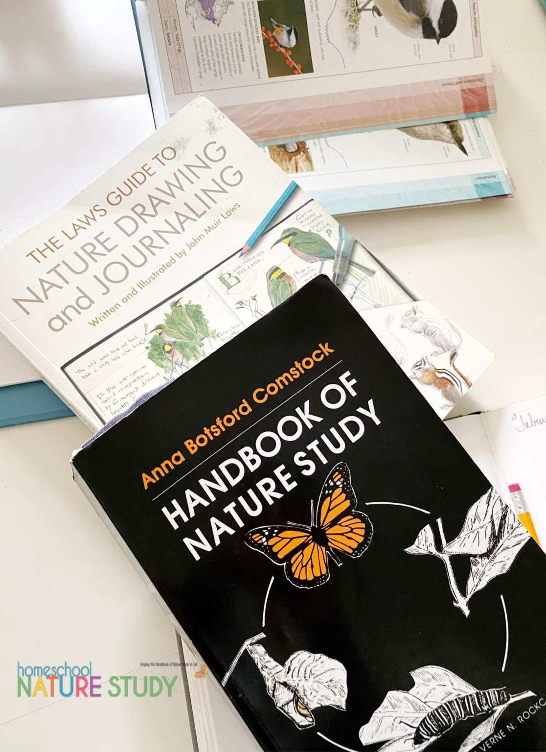 The Laws Guide to Nature Drawing and Journaling for Your Homeschool ...