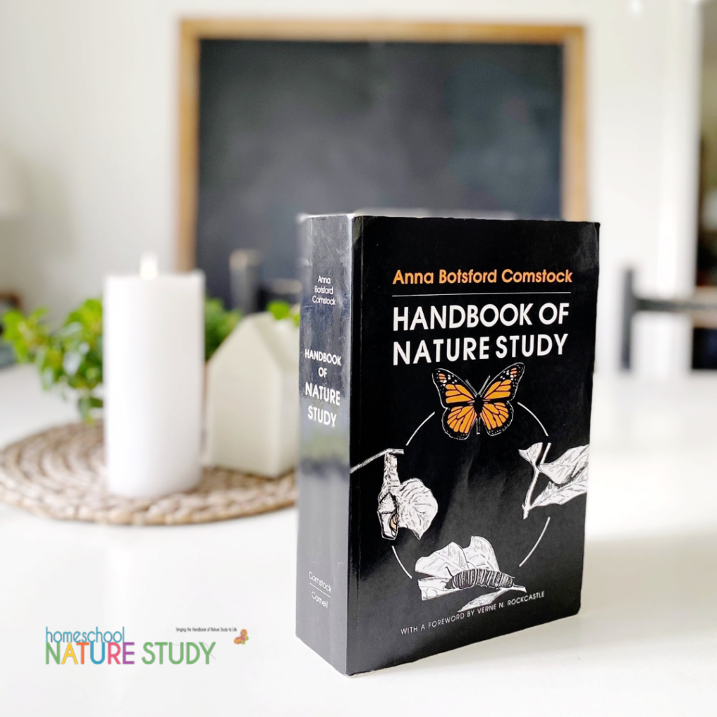 There is such freedom in homeschool nature study in your own backyard and in learning what is closest to home! In your own backyard, your children will learn to observe, to write about their experiences, to draw their treasures, to be patient, to imagine, and to explore. You don't need a special textbook or kit to get started.