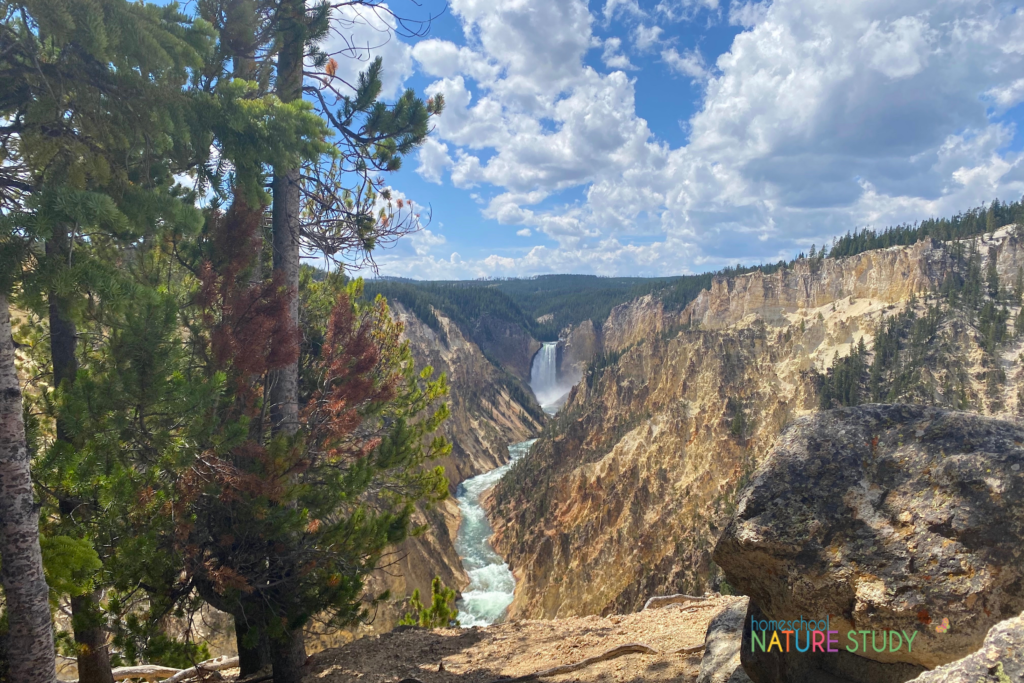 Ready to enjoy a trip to a national park? Use this guide to national parks nature study for your homeschool and enjoy nature study learning while you explore the great outdoors!