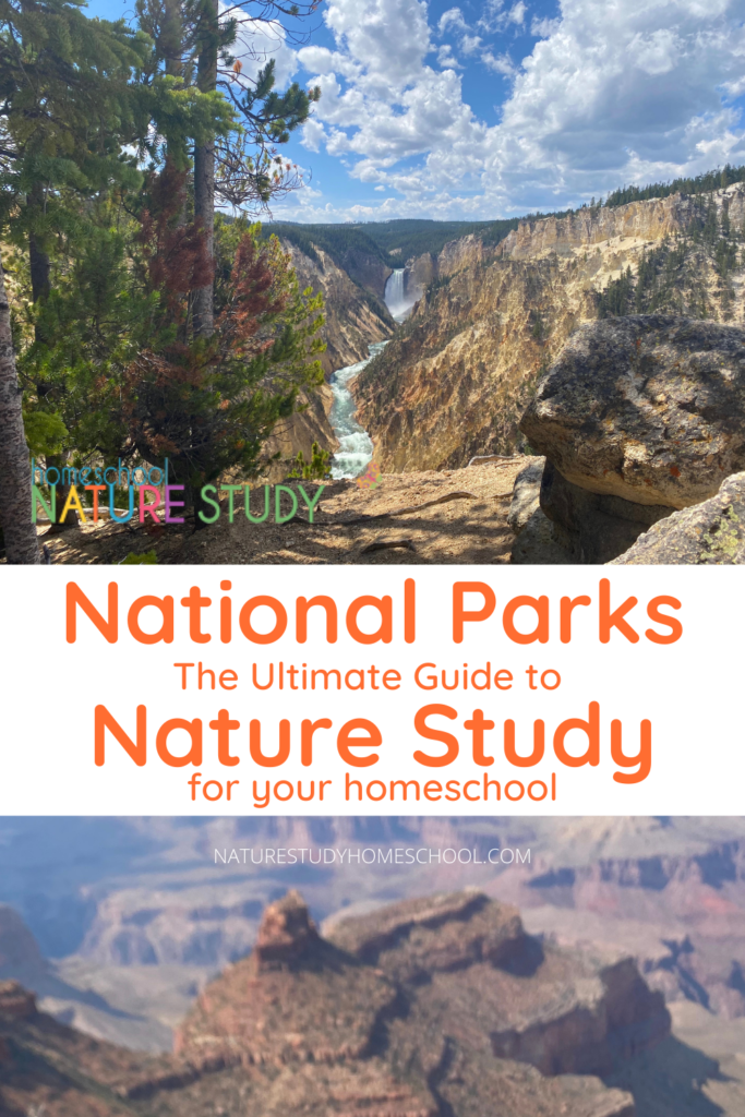 Ready to enjoy a trip to a national park? Use this guide to national parks nature study for your homeschool and enjoy nature study learning while you explore the great outdoors!