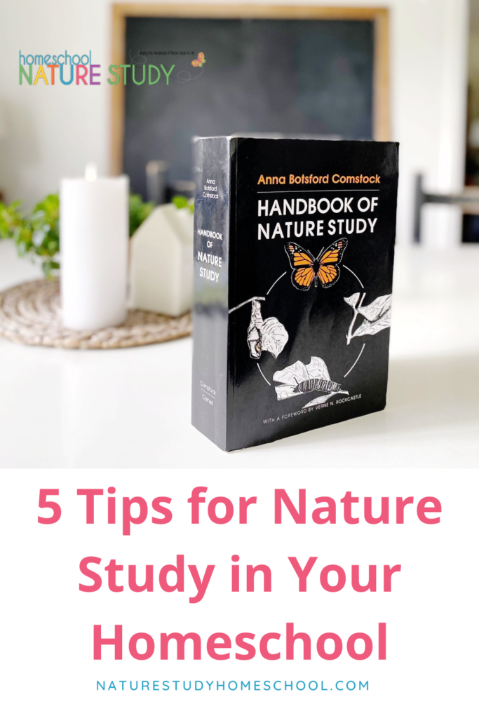 Enjoy 5 tips for nature study in your homeschool. What a delight nature study is and what joys you will discover outside your back door.