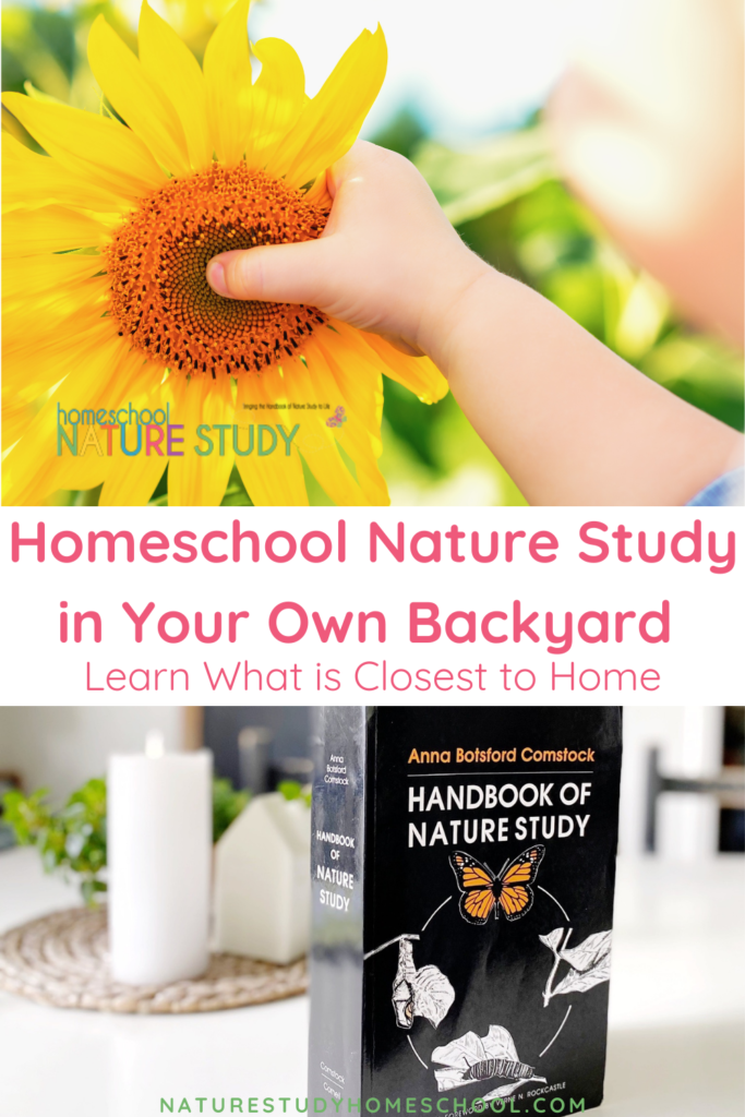 You don't need a special textbook or kit to get started. With nature study in your own backyard, your children will learn to observe, to write about their experiences, to draw their treasures, to be patient, to imagine, and to explore. 