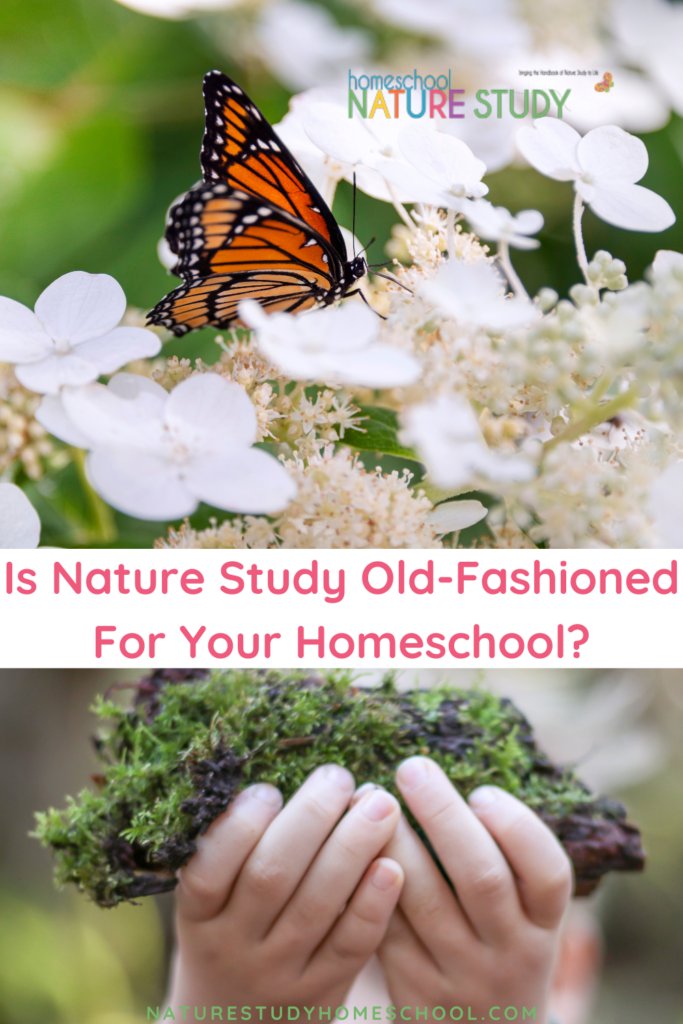 Is nature study old-fashioned for your homeschool? Discover how outdoor time and nature study are as fundamental to good learning as you can find.