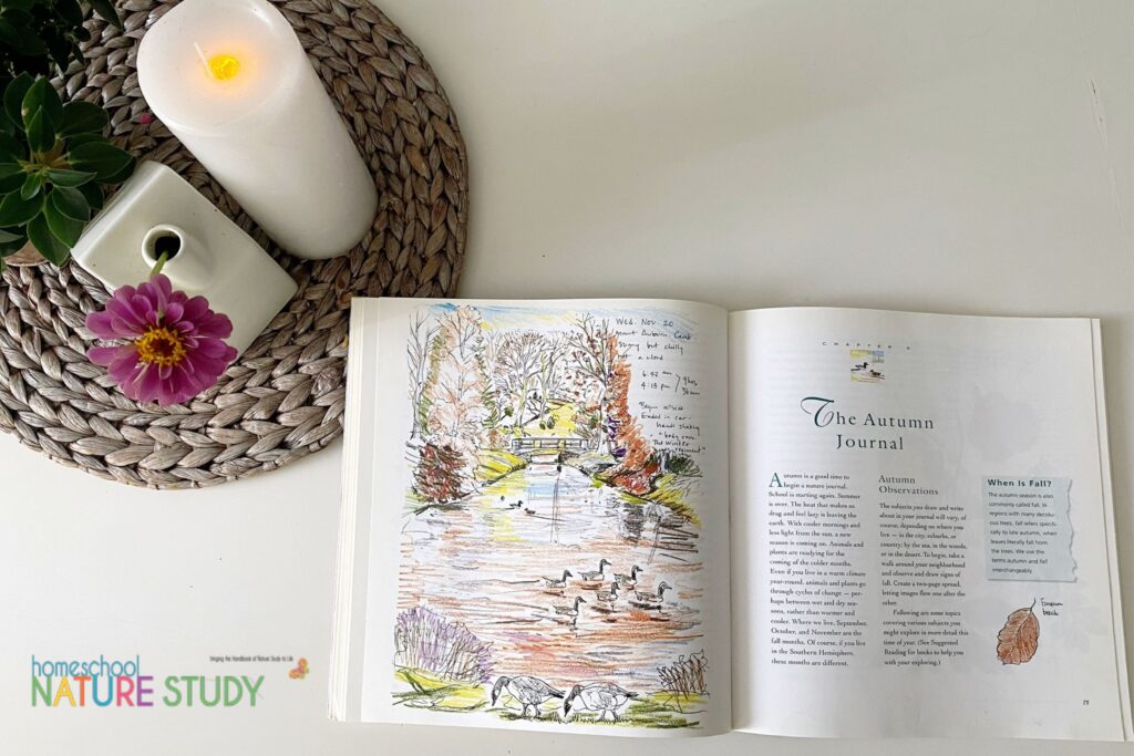 A review of Keeping a Nature Journal Homeschool Nature Study Resource 