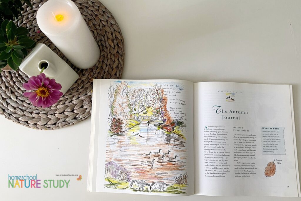 Homeschool Nature Study Resource: Keeping a Nature Journal - Review -  Homeschool Nature Study