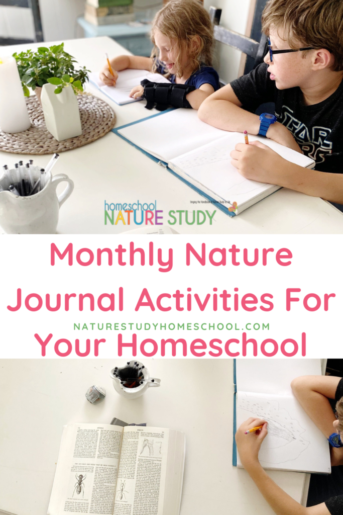 Monthly Nature Journal Activities For Your Homeschool