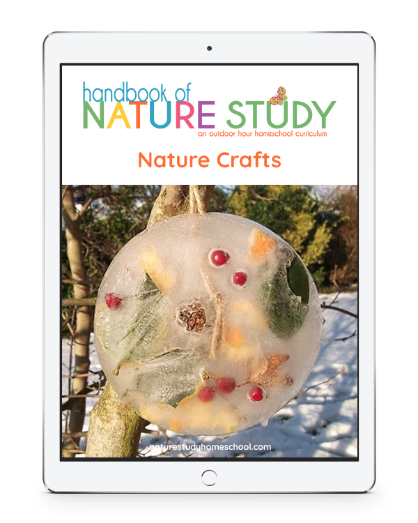 Outdoor Hour challenge Nature Crafts