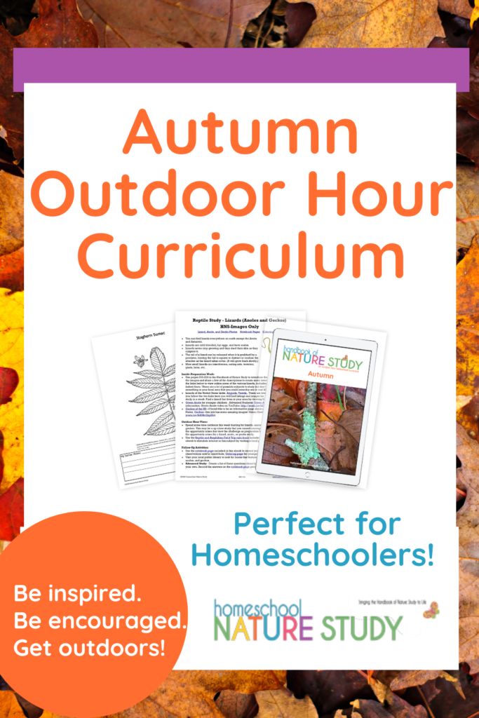 Autumn Outdoor Hour Curriculum