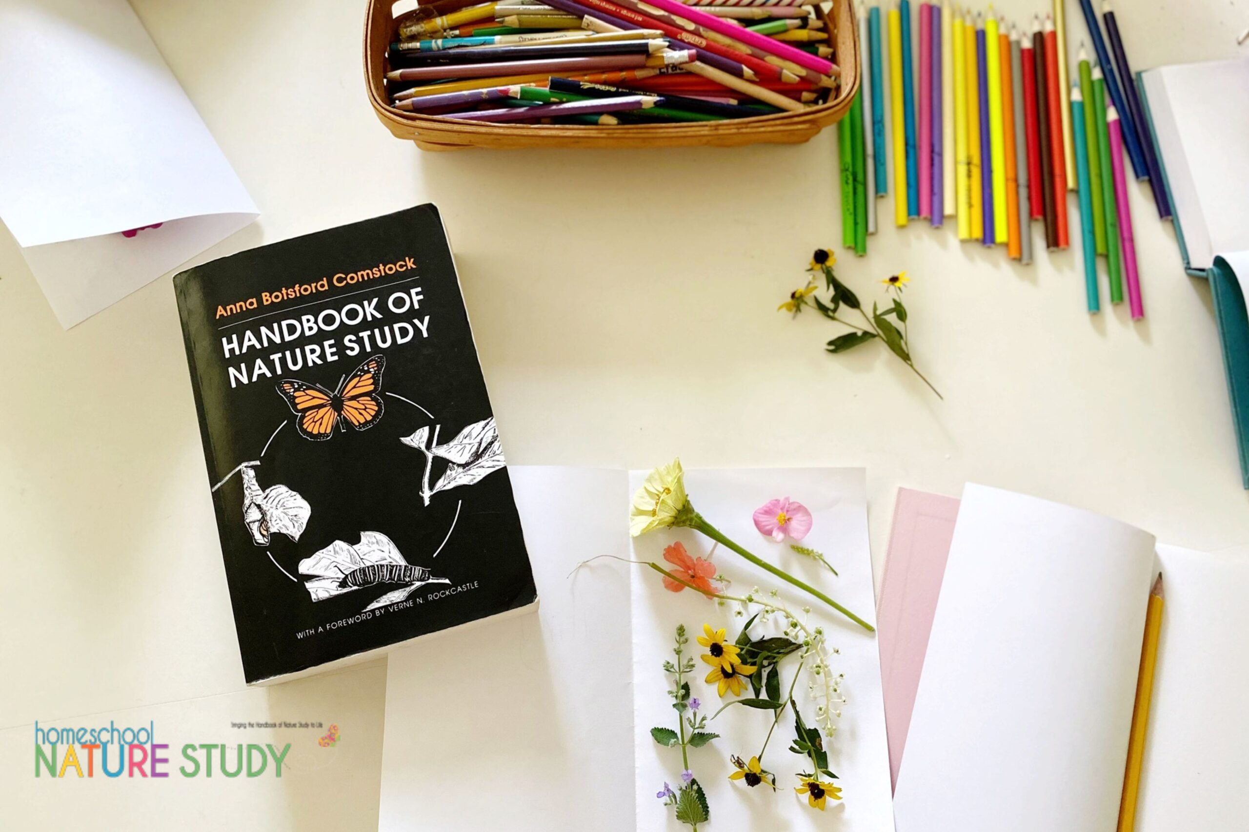 Creating a Nature Journal Supply Kit for Your Homeschool 