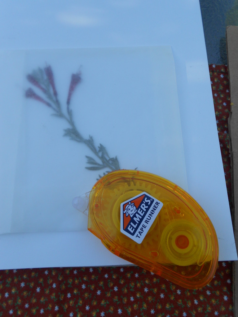 March How to Make a Waxed Paper Pouch for Your Nature Journal or Notebook Homeschool Nature