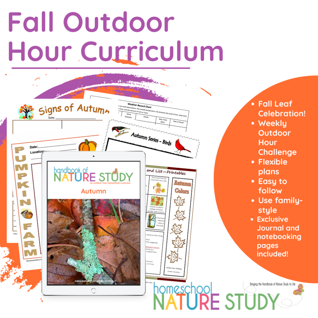 Fall Outdoor Hour Challenge Curriculum with The Handbook of Nature Study