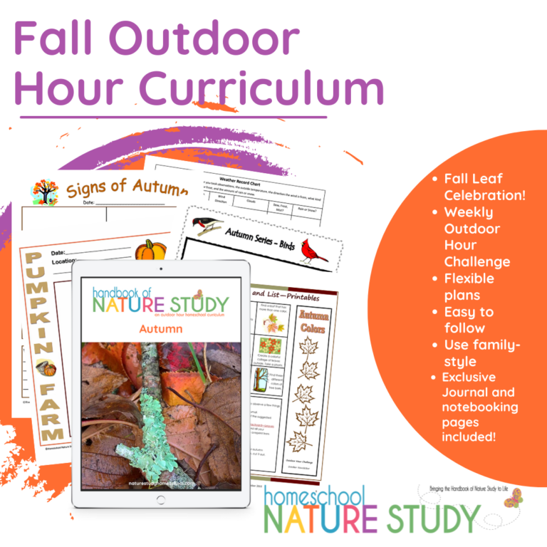 Homeschool Fall Leaf Study And Activities Perfect For All Ages