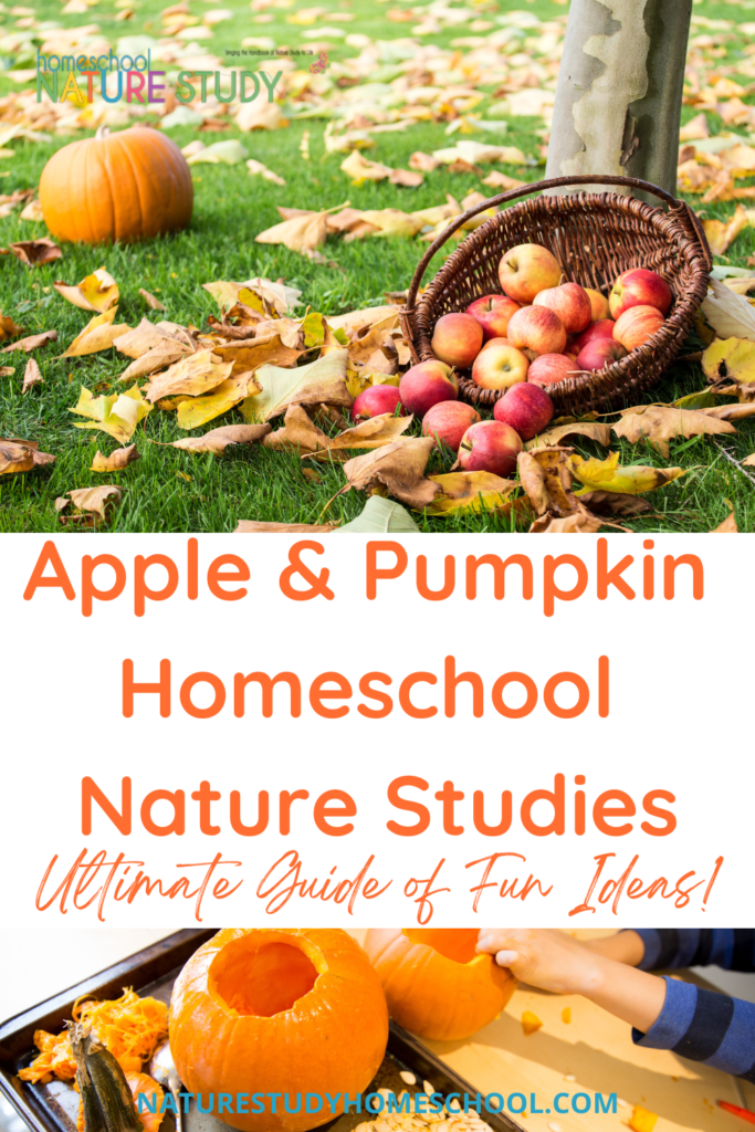 When the air turns cooler and the leaves start to change color, it is always fun to learn more about apples and pumpkins! Enjoy this ultimate guide of fun apple and pumpkin nature study ideas for your homeschool. 