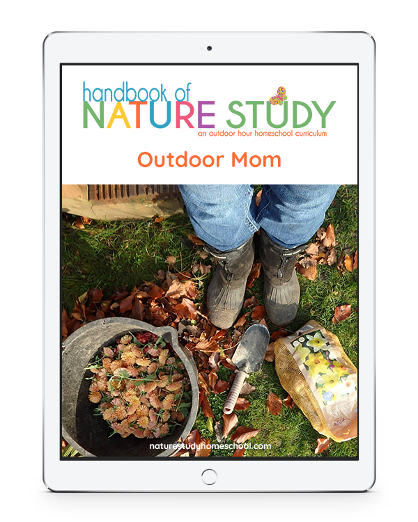 The Outdoor Mom series 