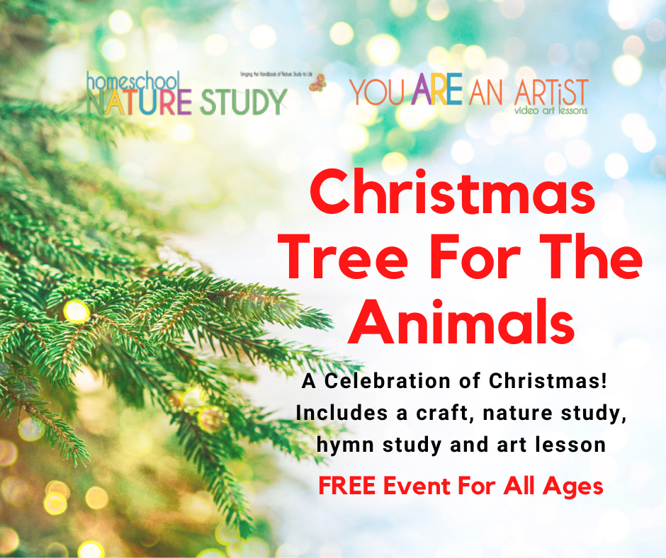 A Christmas Tree for The Animals event! Enjoy an evergreen winter tree study for your homeschool as part of your winter season nature studies and make beautiful memories together this Christmas!