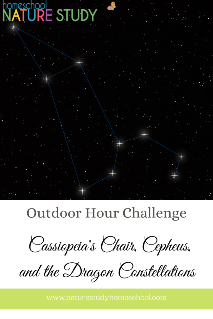 homeschool nature study on cassiopeia's chair, cepheus, and the dragon constellations